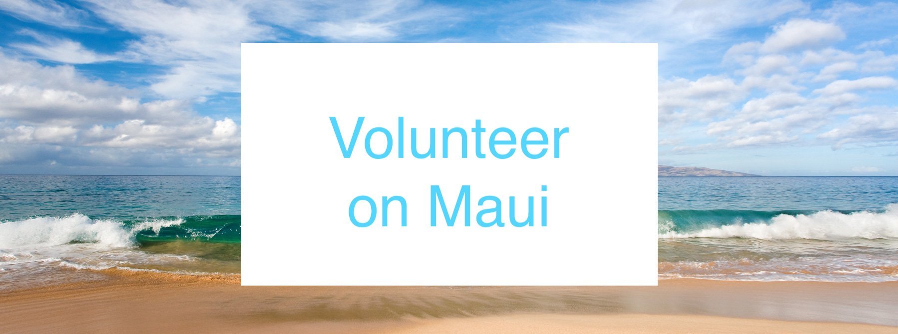 Volunteering on Maui